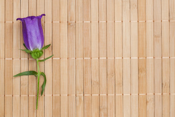 Ultramarine colored bellflower on beige bamboo napkin