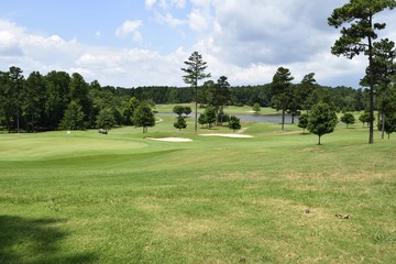 Golf course landscape