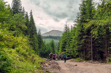 Fototapeta na wymiar Hiking team with colorful backpacks walking on trail, mountains,