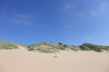 dunes at the Dutch North Sea coast