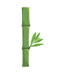 Nature and plant concept represented by bamboo plant icon. Isolated and flat illustration 