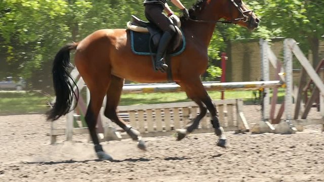 rider on horseback, slow motion