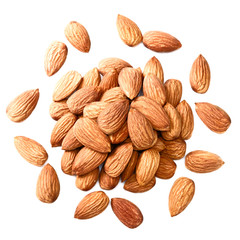 dry almond on white. top view