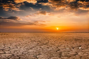 Fotobehang Cracked earth soil sunset landscape © Dmitry Rukhlenko