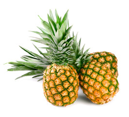 Fototapeta premium fresh ripe pineapples on white
