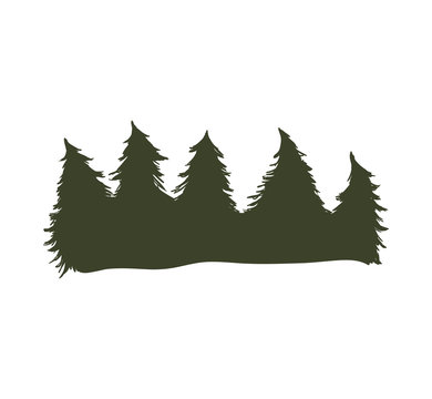 Nature and plant concept represented by pine tree  icon. Isolated and flat illustration 