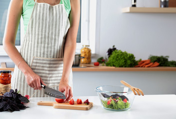 Obraz na płótnie Canvas Cook's hands preparing vegetable salad - closeup shot