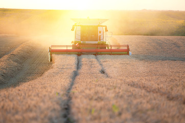 Obraz premium Combine harvester working