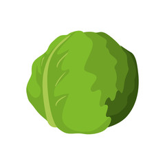 Organic and Healthy food concept represented by lettuce icon. Isolated and flat illustration 