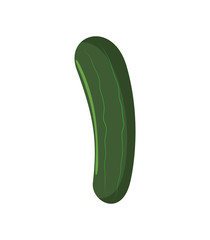 Organic and Healthy food concept represented by cucumber icon. Isolated and flat illustration 