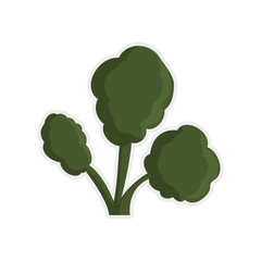 Natural plant concept represented by leaf icon. Isolated and flat illustration 