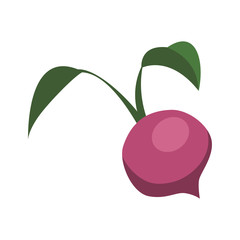 Organic and Healthy food concept represented by onion icon. Isolated and flat illustration 
