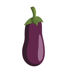 Organic and Healthy food concept represented by Eggplant icon. Isolated and flat illustration 