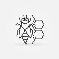 Bee and honeycomb concept icon