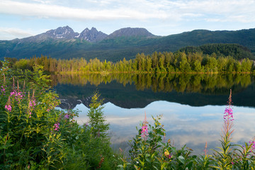 Alaska Landscapes