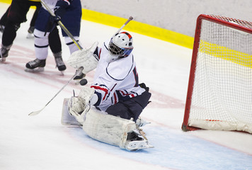 Ice Hockey Goalie