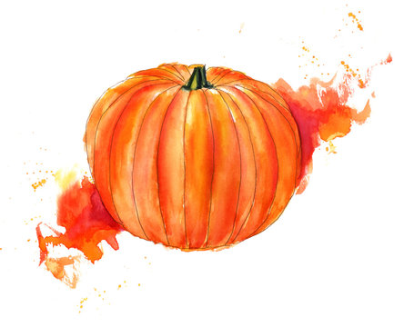 Watercolour drawing of beautiful vibrant pumpkin on bright texture