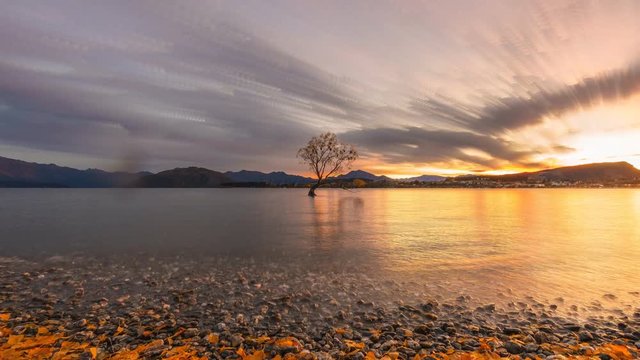 Beautiful Sunrise At Lake Wanaka With Autumn Leaves Littering The Lake Shore. Time lapse with stacked images creating beautiful short brush stroke effect on the clouds. Zoom In Pan Right