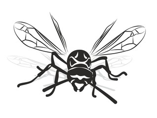 Sketch of wasp.