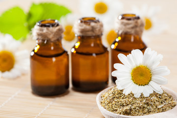 Natural essential oils, dry camomile and fresh camomile flowers