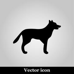 Dog icon on grey background, vector illustration