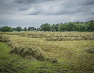 Fototapeta na wymiar piles of hay in the fields