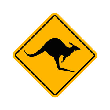 k&auml;nguru - kangaroo