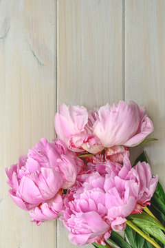 Peony in all its splendor against a wooden background