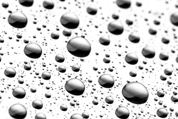 drops of water-repellent surface in black & white