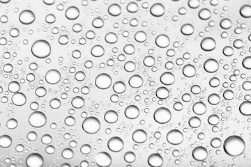 drops of water-repellent surface in black & white
