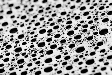 drops of water-repellent surface in black & white