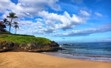 Amazing Beach in Paradise - Maui, Hawaii