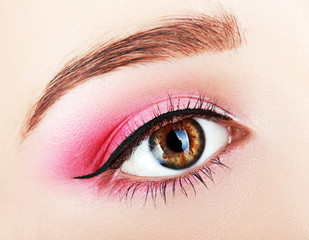 Obraz premium Pink Eye Makeup