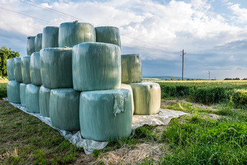 Strohrollen verpackt auf dem Feld