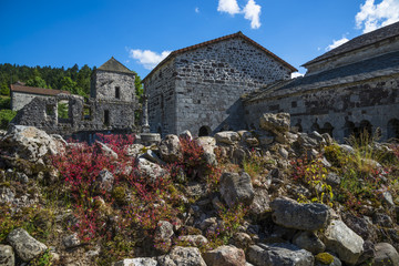 Mazan-l'Abbaye/ruines de l'abbaye