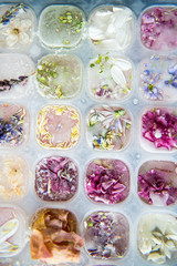 Tray with Frozen Flowers in Ice Cubes