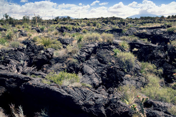 Lava covered with desert vegetation.  Fires Recreation Area