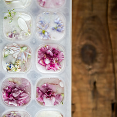 Obraz na płótnie Canvas Tray with Frozen Flowers in Ice Cubes