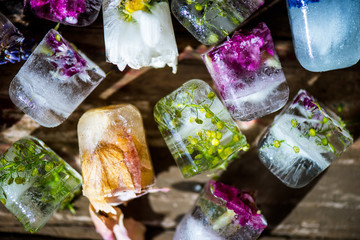 Frozen Flowers in Ice Cubes on Rustic Wooden Background