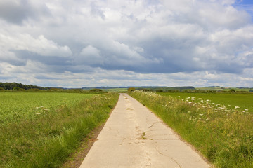 bridleway in the yorkshire wolds