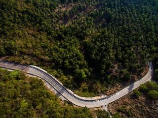 People's shadow at jungle way by aerial view 