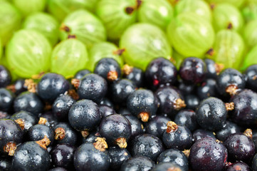 A pile of fresh fruits. Fruit background