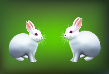 Realistic little rabbit illustration. Vector.