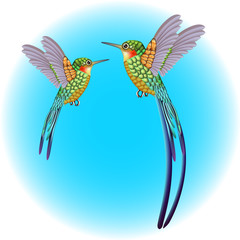 beautiful vector humming-birds on blue background