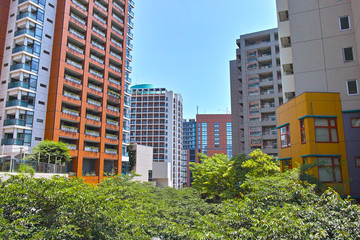 Fototapeta premium 新緑と高層ビル