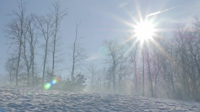 Early morning sun above Kraljevica hills near town of Zajecar in Eastern Serbia 4K 3840X2160 UHD video - Fog on snowed park hill Kraljevica 4K 2160p UHD footage 
