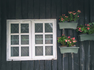 Fototapeta na wymiar Windows and flower