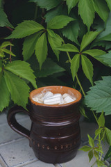 cocoa with marshmallows