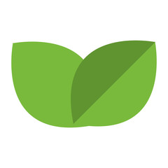 simple flat design leaves vector illustration vector illustration