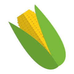 simple flat design corn cob icon vector illustration